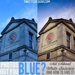 all about white balance