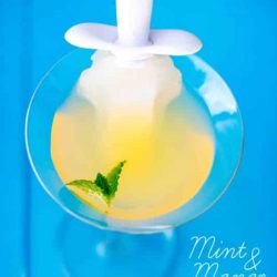 mint and mango lemonade chiller- with a ginger ale pop! These are so delicious and such a fun party drink- pin now and save for your summer shindigs! Adult and non-alcoholic versions included!