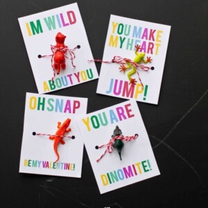 Tiny animal valentines perfect for boys - just print and add a toy.