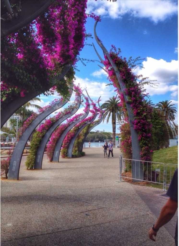 Arbor in South Brisbane- southbank