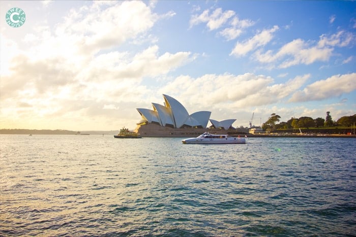 sydney opera house and the harbour