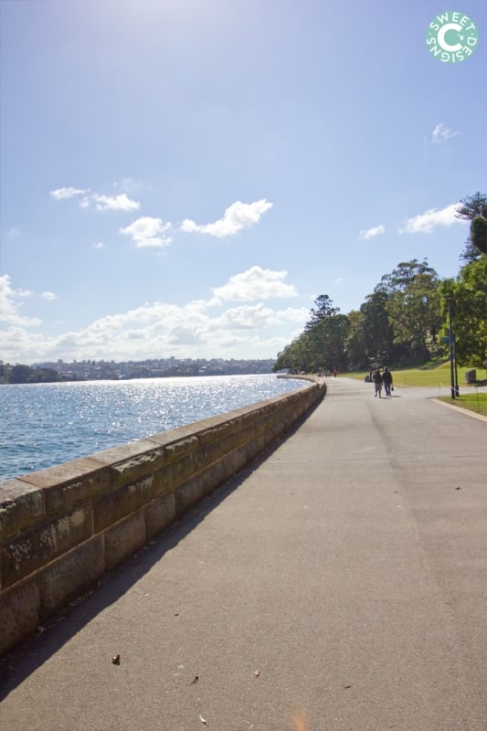 walkway along the harbour, royal botanic gardens, sydney