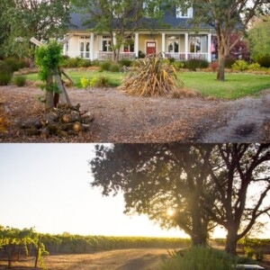 Two picturesque Sonoma County B&B and Travel Musts, featuring a house and a vineyard.