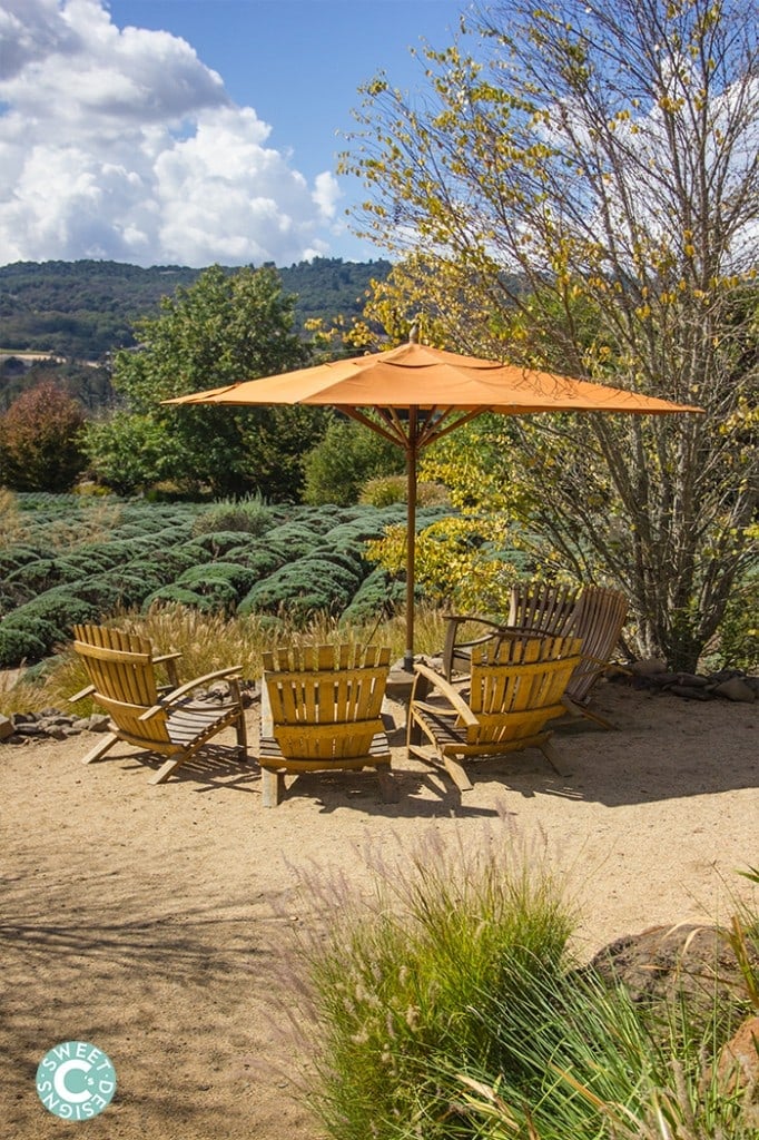 wine barrel chairs at matanzas creek winery