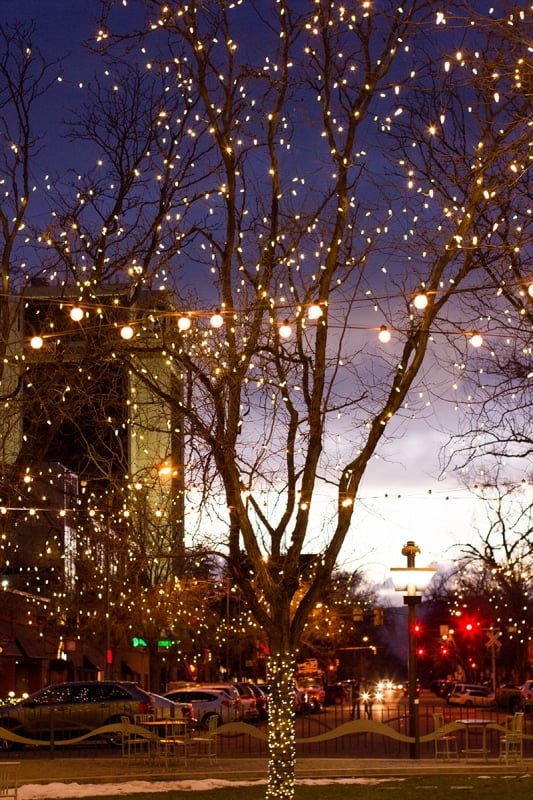 Fort Collins Colorado- my favorite at Christmas!