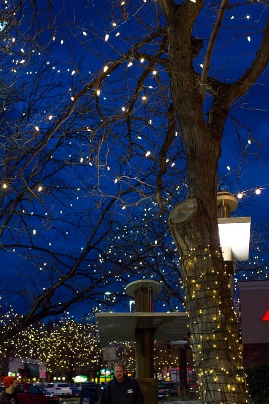 Fort collins christmas lights