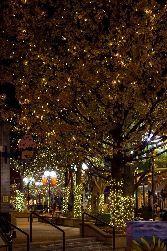 fort collins - the cutest town at Christmas! Disney's main street was actually made to look like Fort Collins!