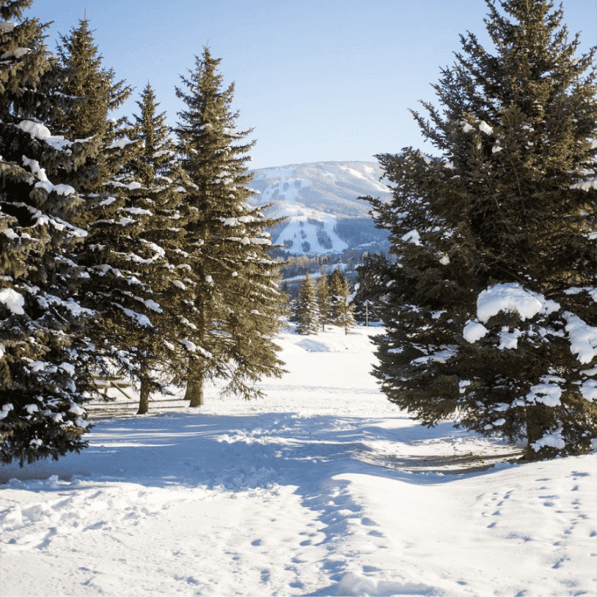 Avon and Beaver Creek Colorado - Sweet C's Designs