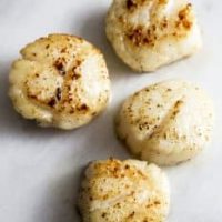 Perfect pan seared scallops on a marble countertop.
