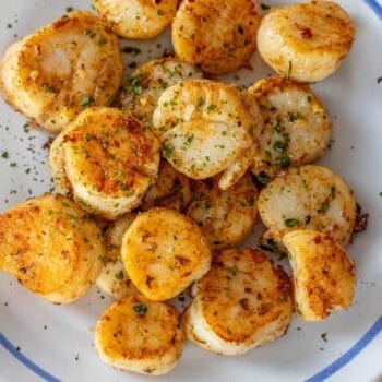 A plate of Perfect Pan Seared Scallops garnished with chopped herbs and spices, served on a white dish with a blue rim.