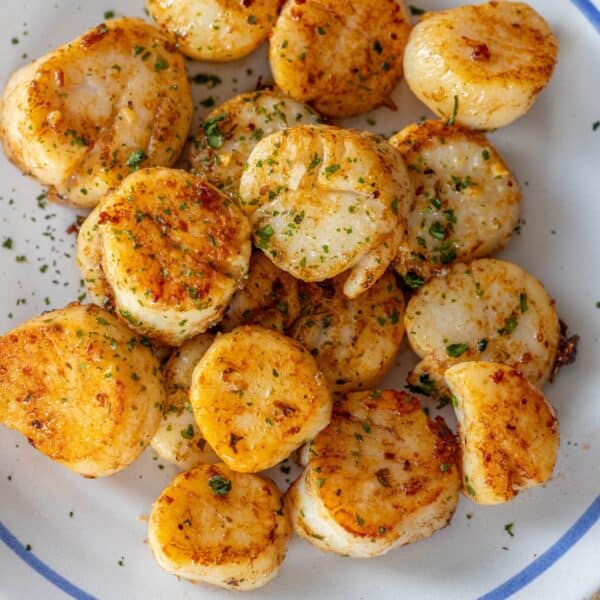 A plate of Perfect Pan Seared Scallops garnished with chopped herbs and spices, served on a white dish with a blue rim.