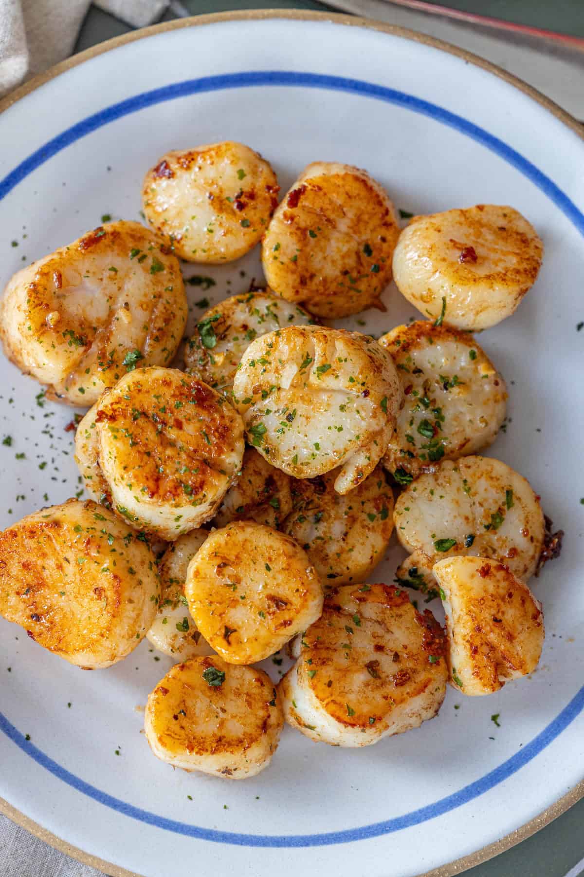 A plate of Perfect Pan Seared Scallops, seasoned with herbs and spices, arranged in a cluster on a white plate with a blue rim.