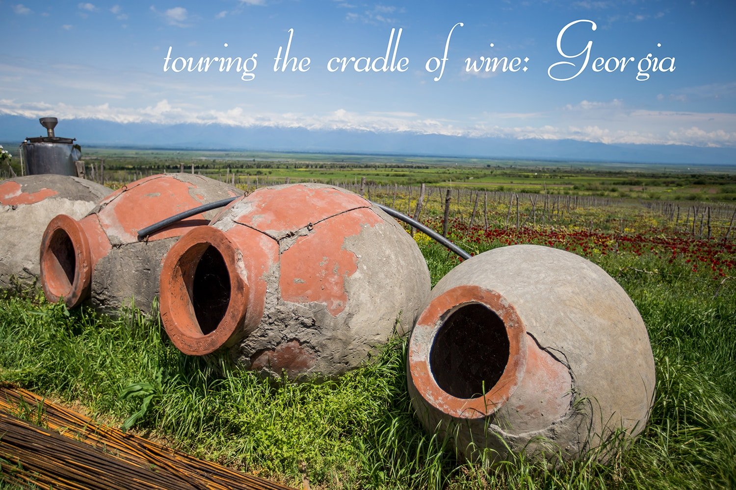 wine pots in the sun in front of the mountains