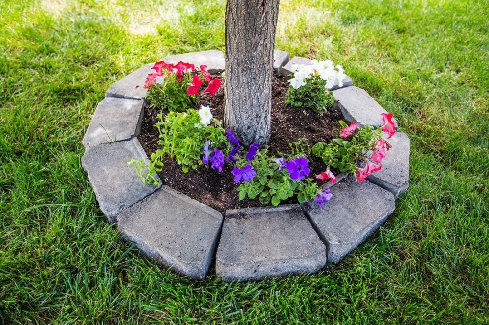 Quick and Easy Tree Ring