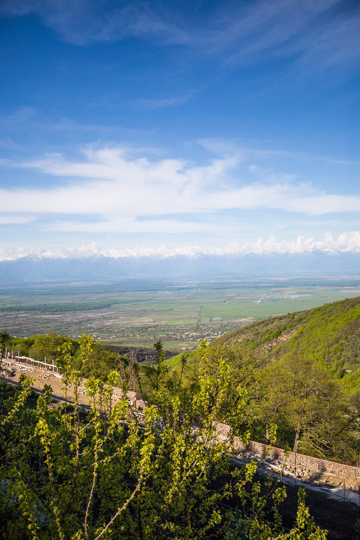 Gardens and vineyards at Bodbe Monastery