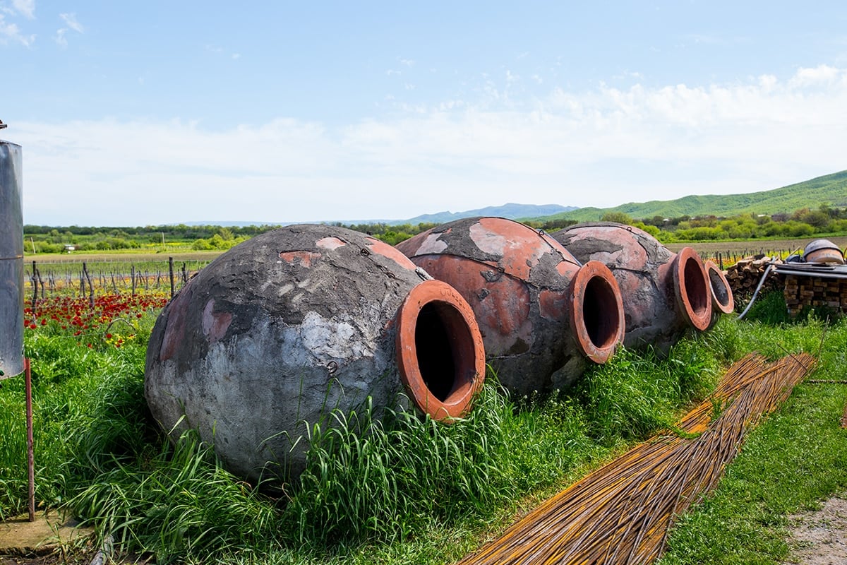 Qveri in a vineyard, Khaketi Region Georgia