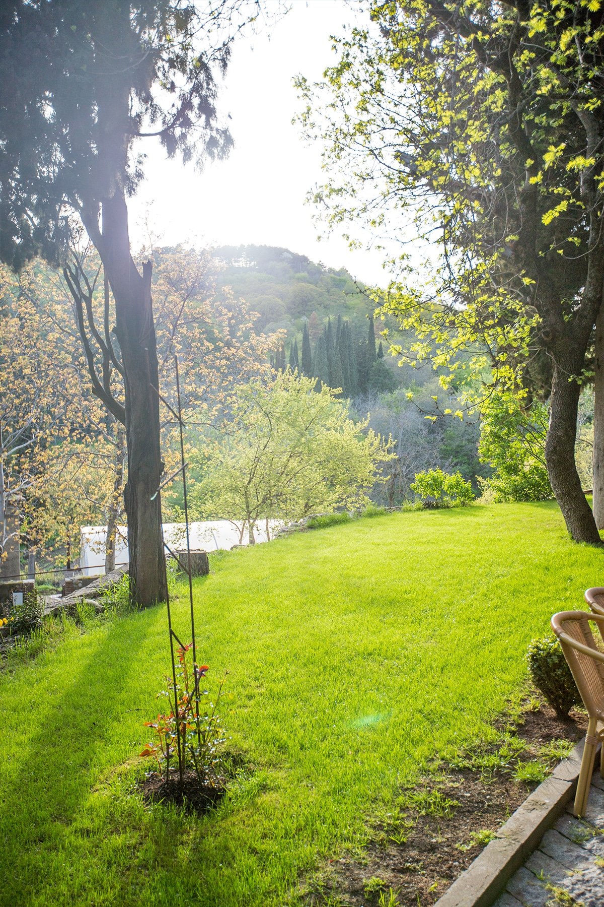 Sun shining through the gardens at Saint Ninos monastery