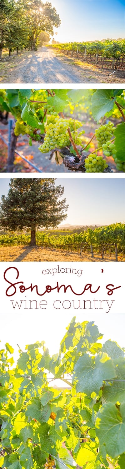 Exploring Sonoma County's Wine Country - my favorite place in California to visit!