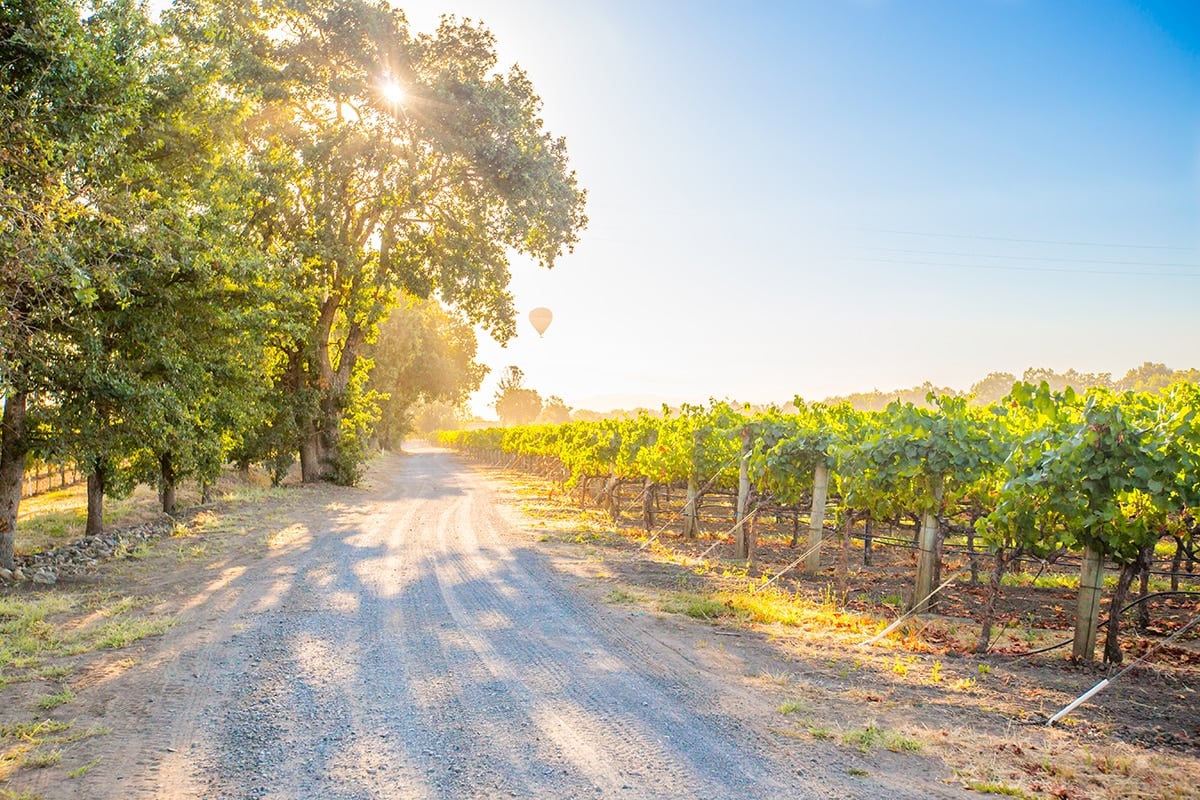 La Crema Winery in Sonoma County