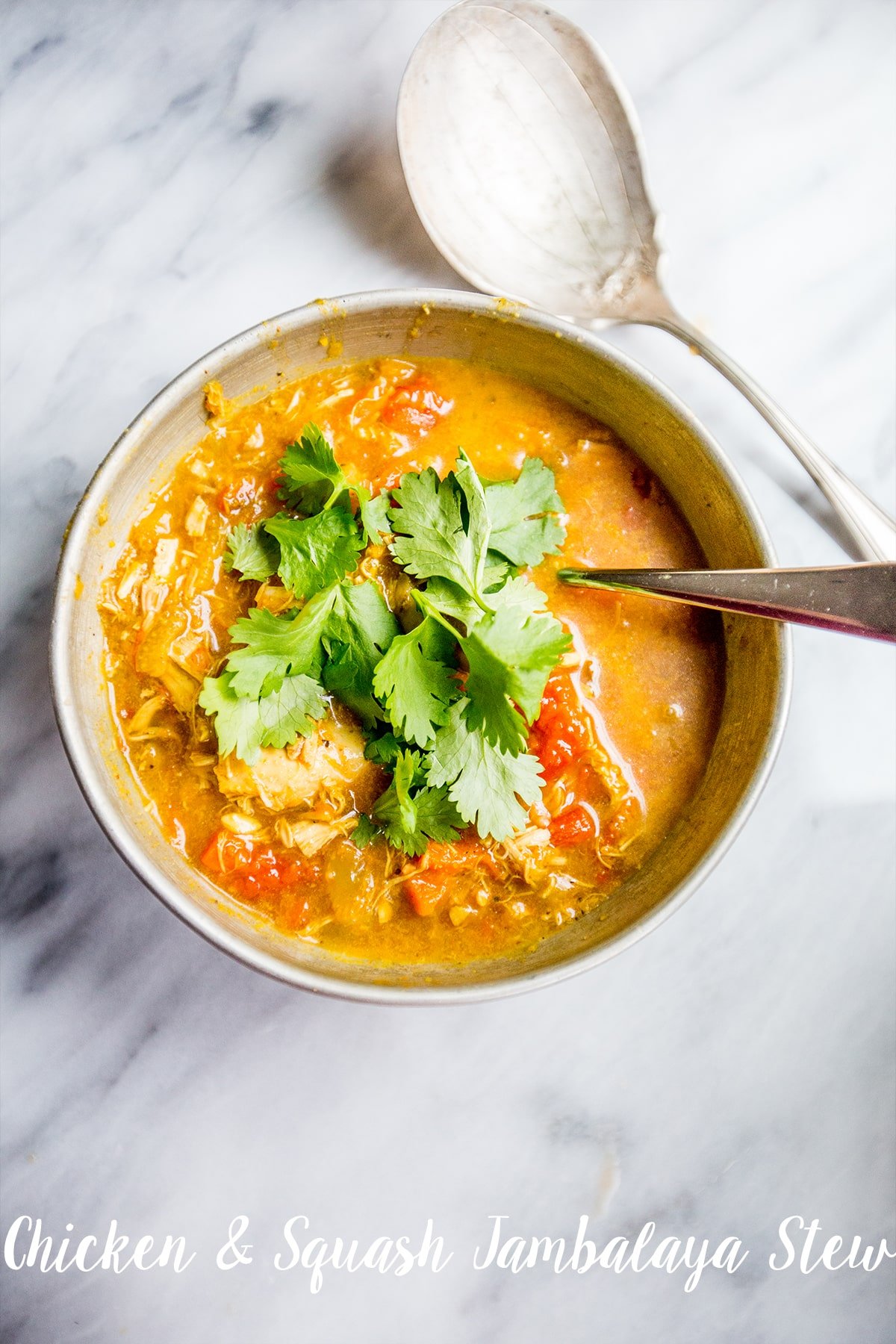 Chicken and squash jambalaya stew- delicious, comforting dinner in a flash!