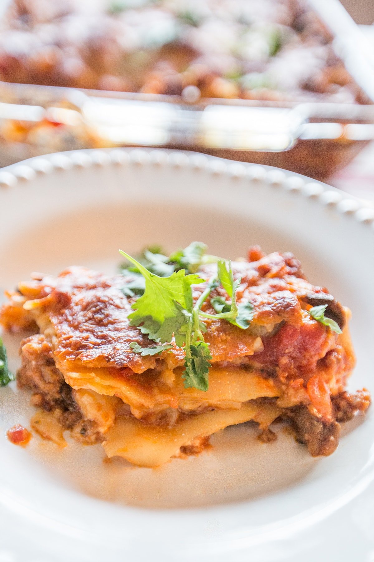 layered lasagna with beef and cottage cheese and parsley on 