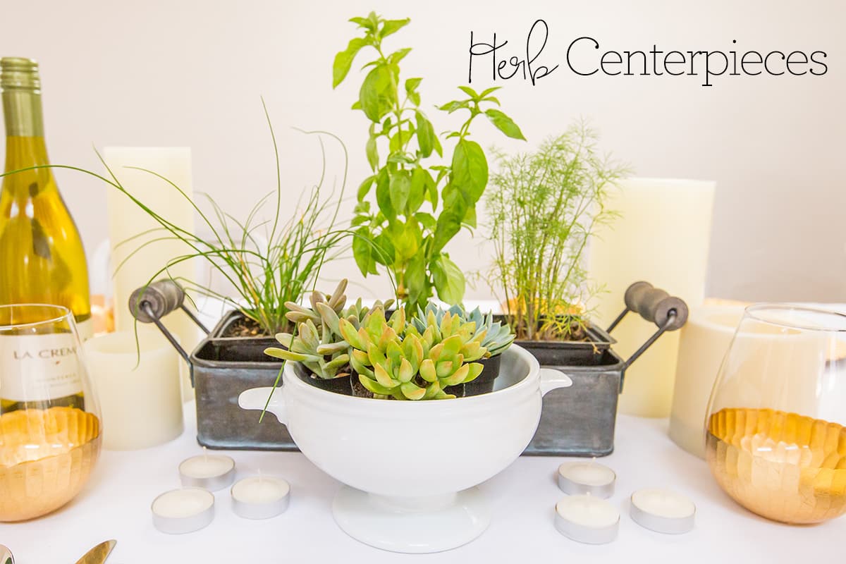 Love this living centerpiece idea- fresh herbs make a great tabletop centerpiece!