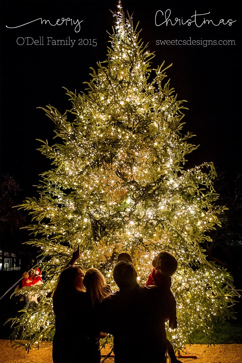 Love this cute family photo idea!