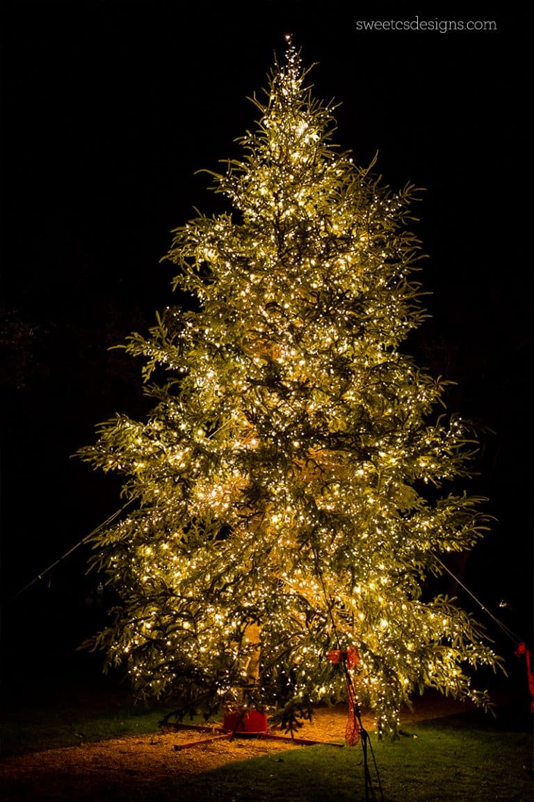 Seaside Florida at Christmas Sweet Cs Designs