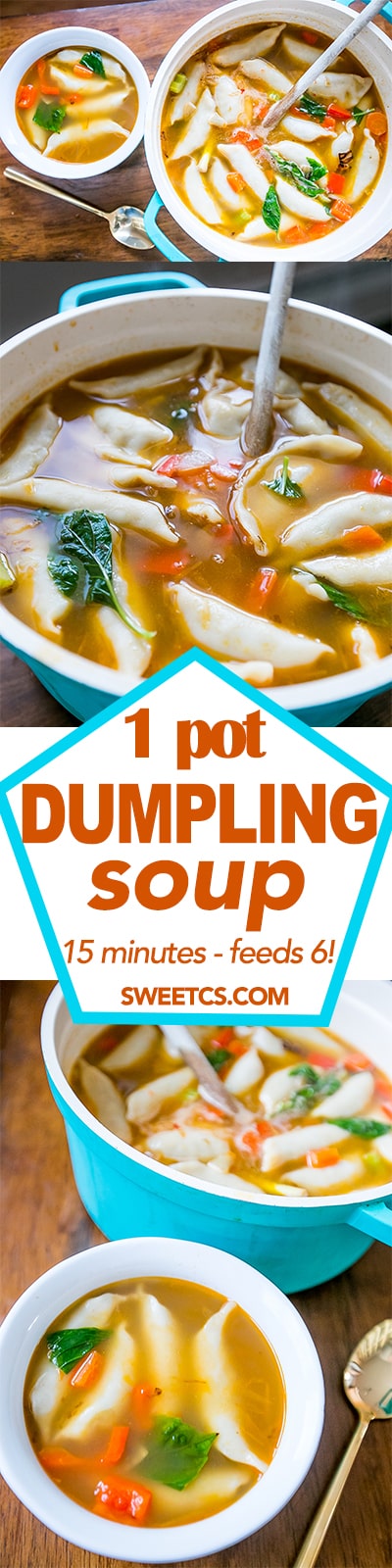 1 pot dumpling soup- a delicious easy meal that feeds a crowd fast!