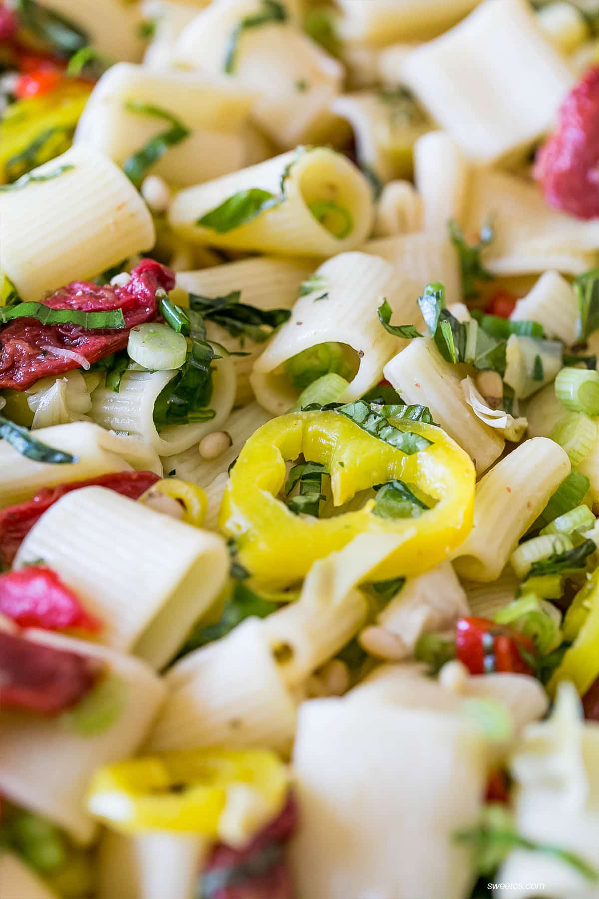 Vegan AntiPasti Pasta Salad