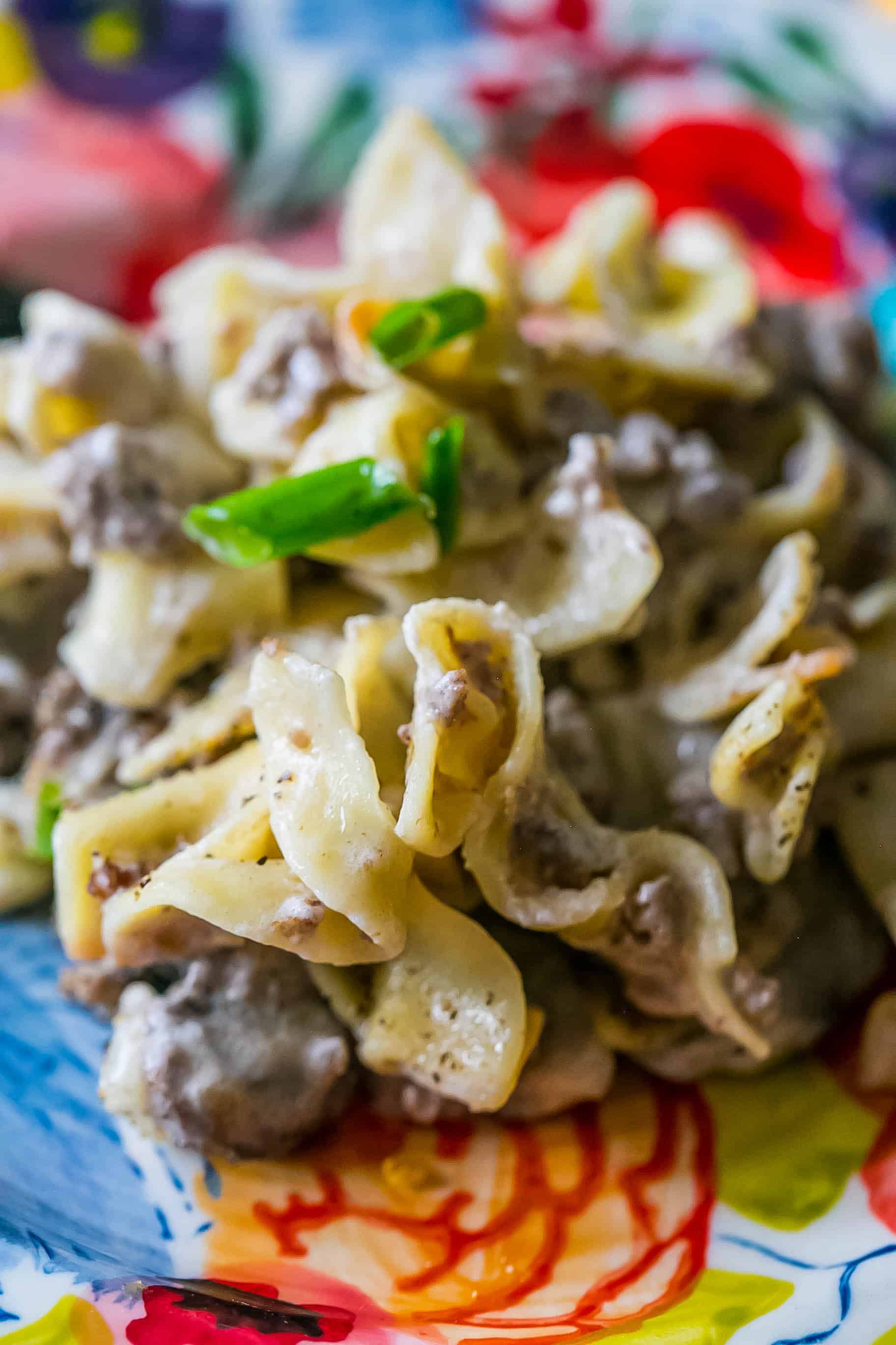 This is my favorite stroganoff recipe ever - and just one pot! 
