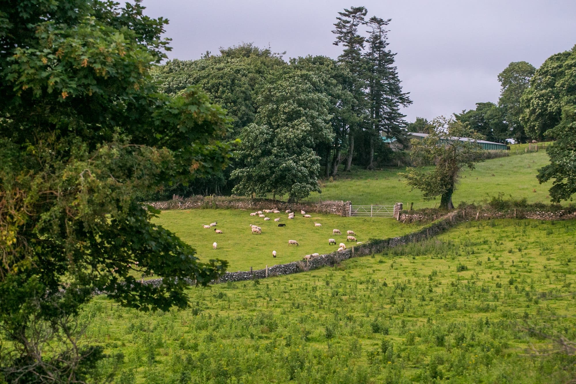 Backyard view at killarney holiday village, county kerry 