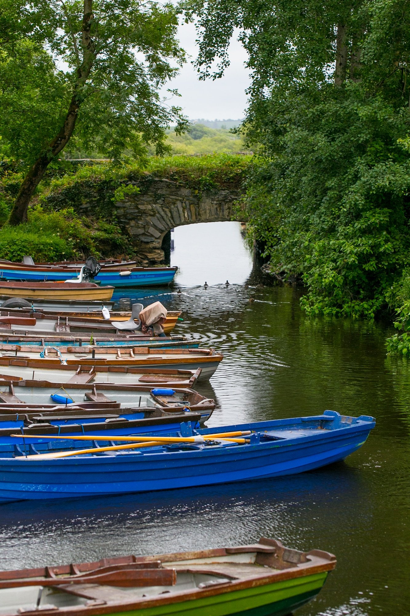 Boats by bridge, Killarney National Park Ireland