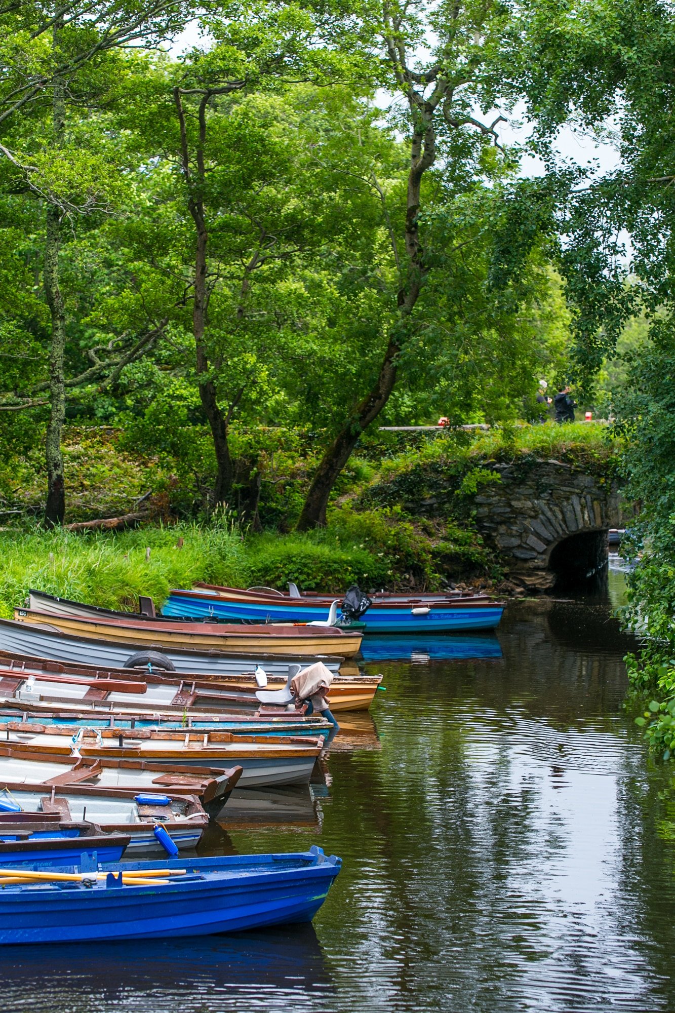 Killarney National Park, Ireland