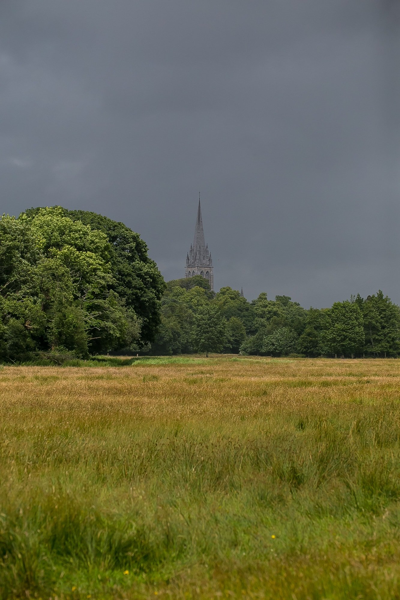 Killarney Cathedral, through the national park 