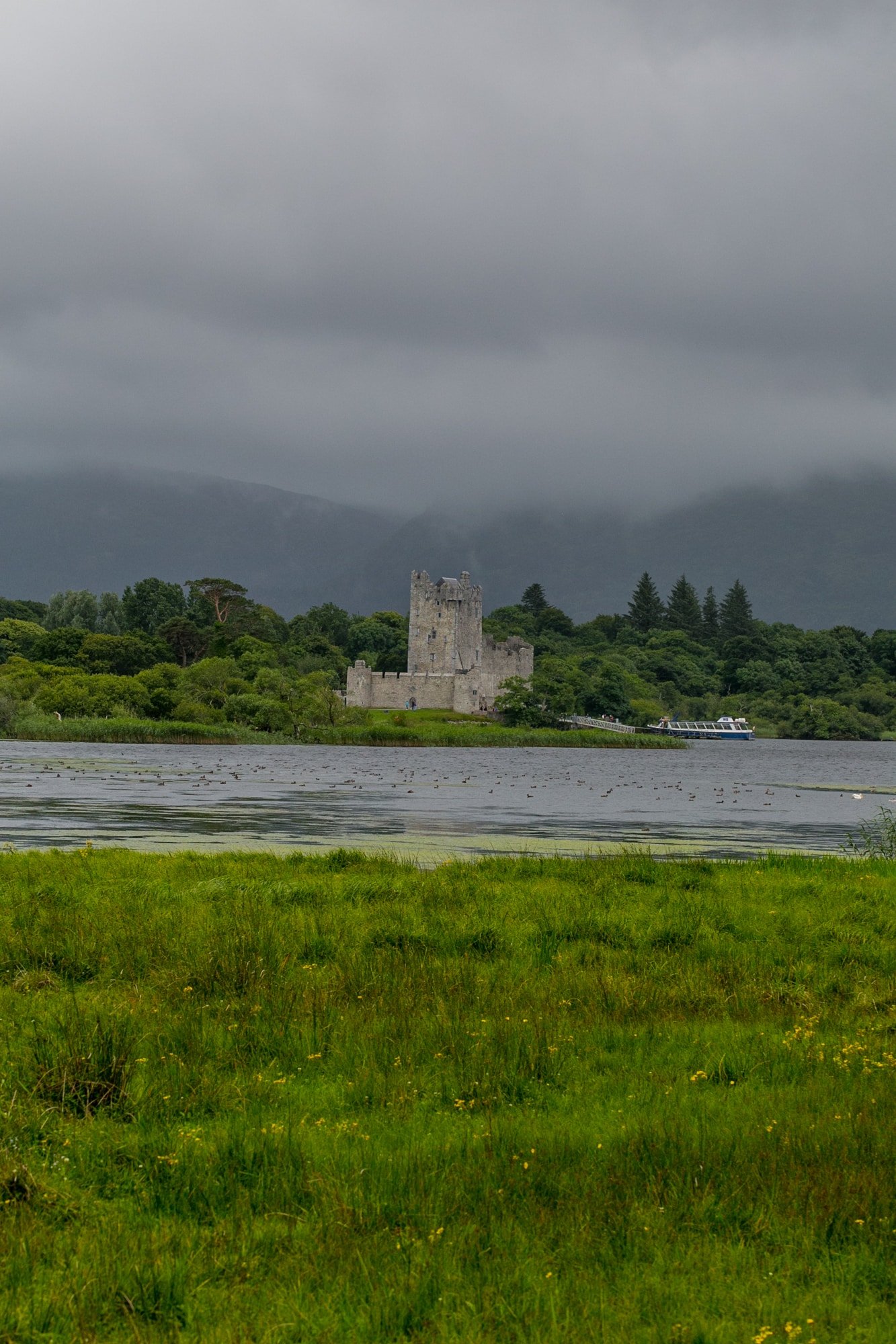 Ross Castle and Lady of the Lake Boat tour, Killarney National Park 