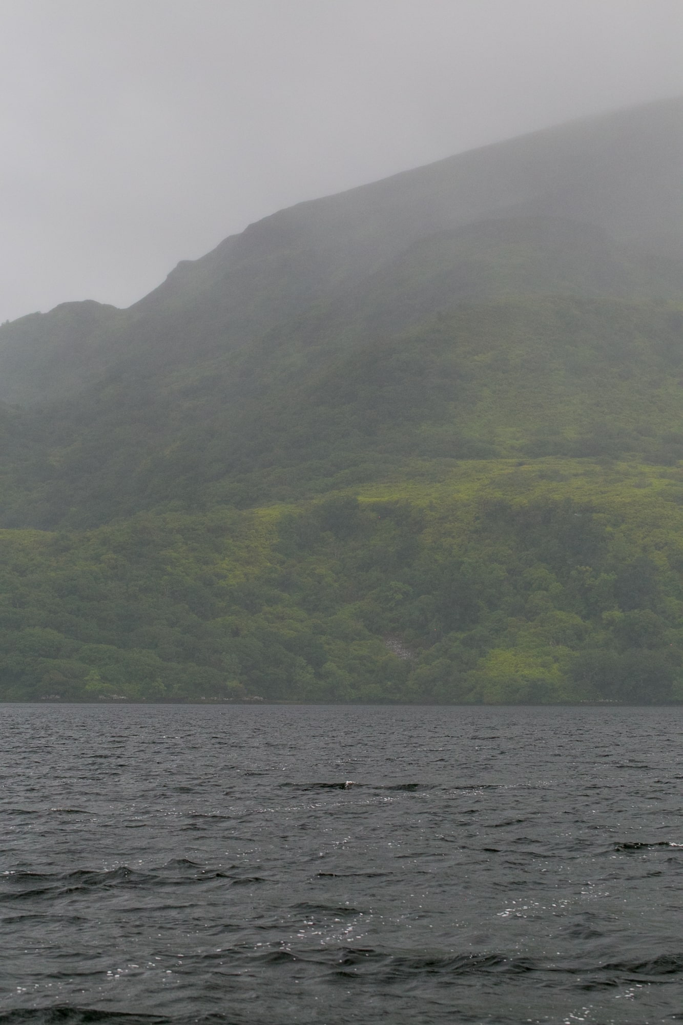 Loch Lein boat tour, Killarney