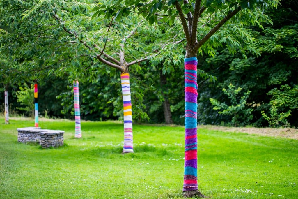 Yarn bombed trees, Blarney Castle. Love how bright they are! 
