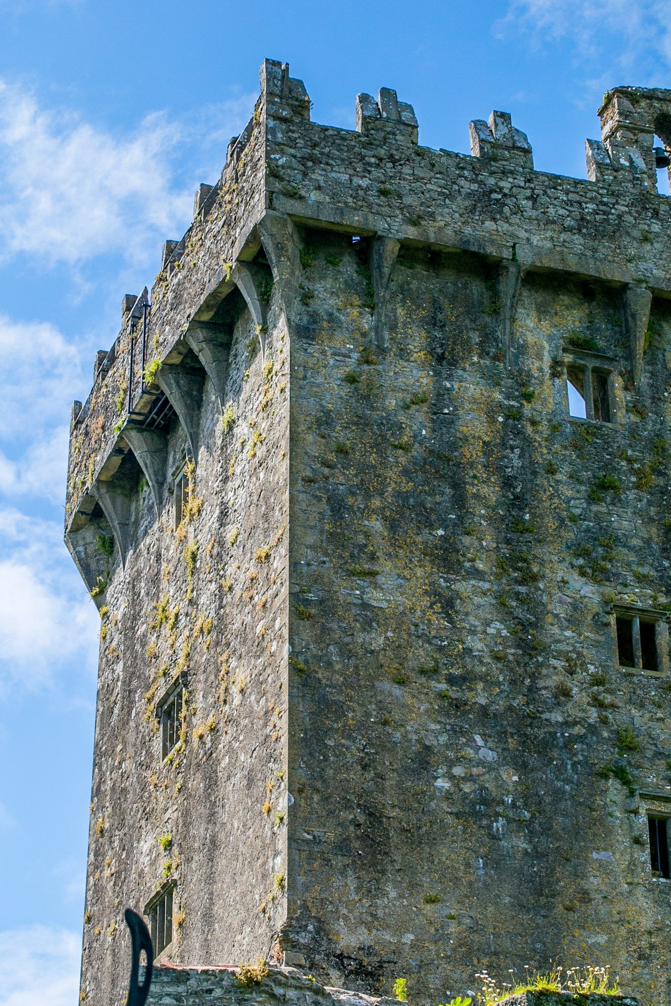 Blarney Castle, Cork County Ireland