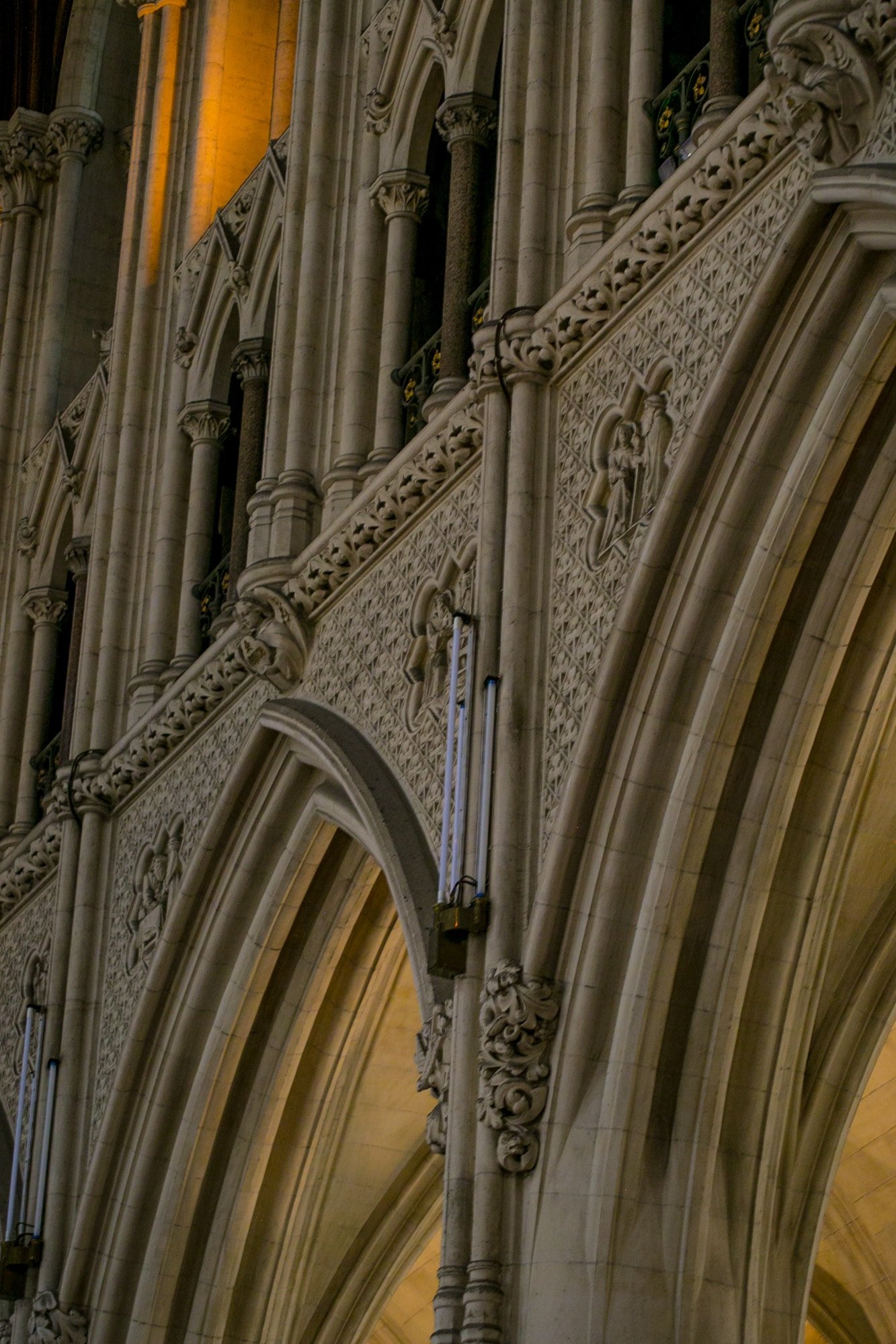 Shamrock detail, Cobh Cathedral