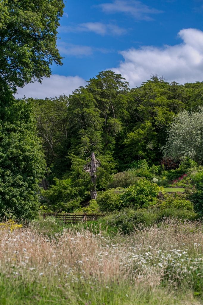 Gorgeous Blarney Castle Grounds