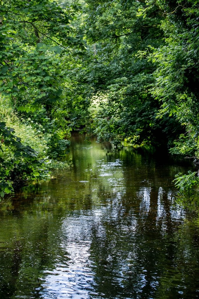 River through Blarney Castle grounds, County Cork, Ireland