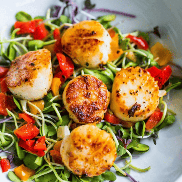 Scallops on a plate with greens and peppers, served as an antipasti salad.