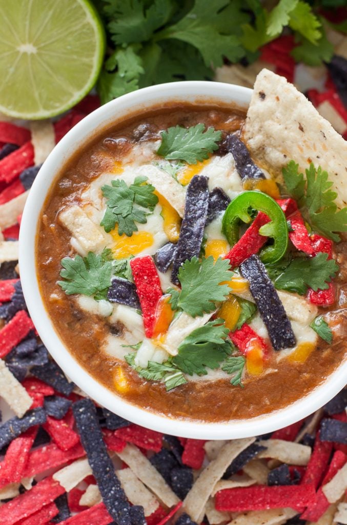 homemade-slow-cooker-crockpot-chicken-tortilla-soup-recipe-680x2-0682