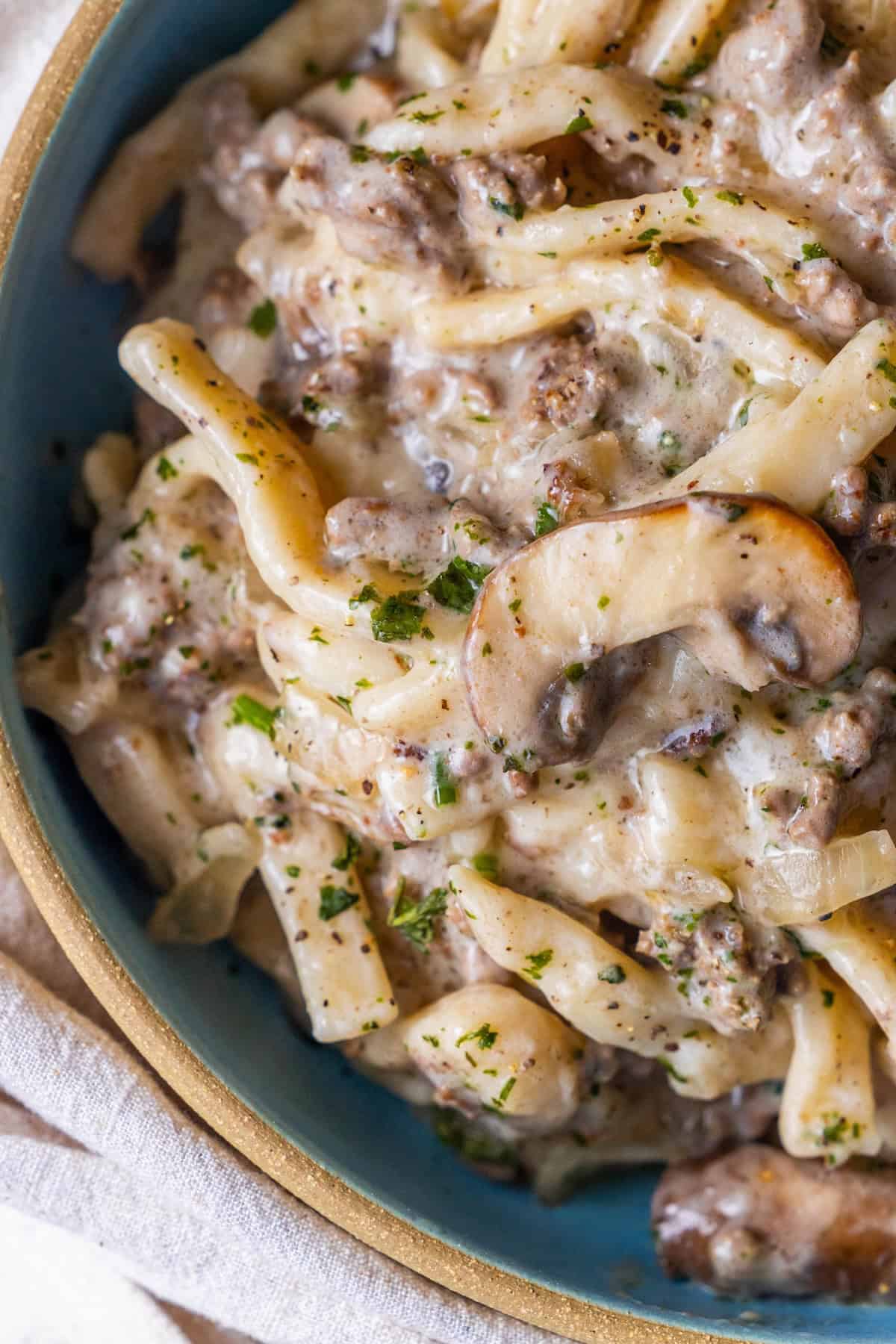 A bowl of Creamy Beef Stroganoff Fettuccine features pasta tossed with rich sauce, ground beef, sliced mushrooms, and fresh herbs.
