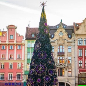 A large Christmas tree at the Wroclaw Christmas Market in the middle of a city.