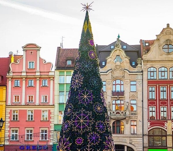 A large Christmas tree at the Wroclaw Christmas Market in the middle of a city.