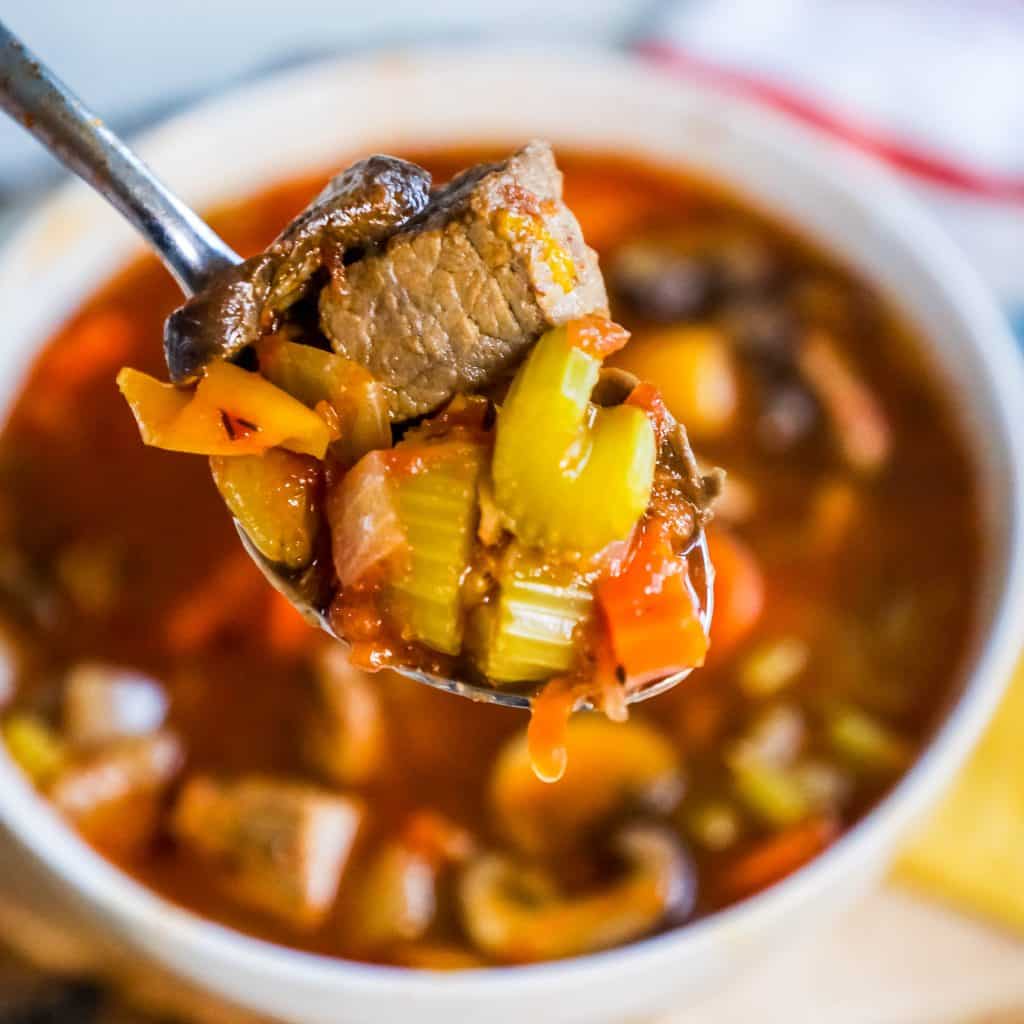 bowl of soup with beef, celery, carrots, and broth