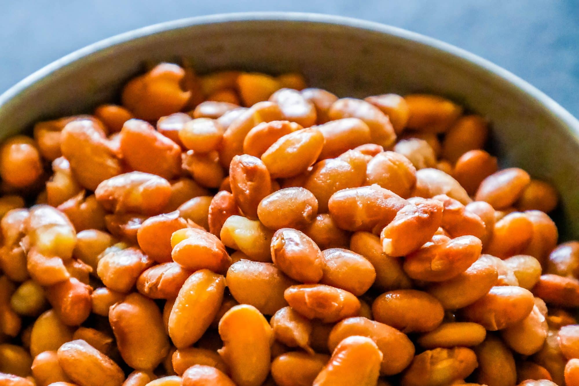 bowl full of pinto beans