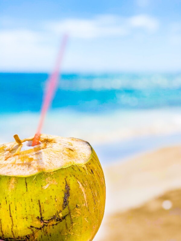 A beach in Malahual, Mexico with a coconut and a straw.